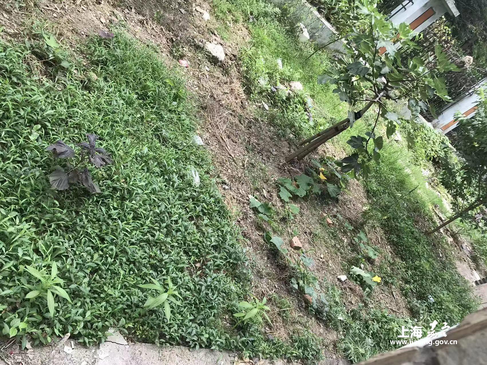 02acb809b16a47e99564ba34b29636f9.jpg 02acb809b16a47e99564ba34b29636f9.jpg