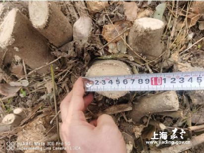 041f52de8a3c4b5caeff495ab3e4f65e.Png 041f52de8a3c4b5caeff495ab3e4f65e.Png