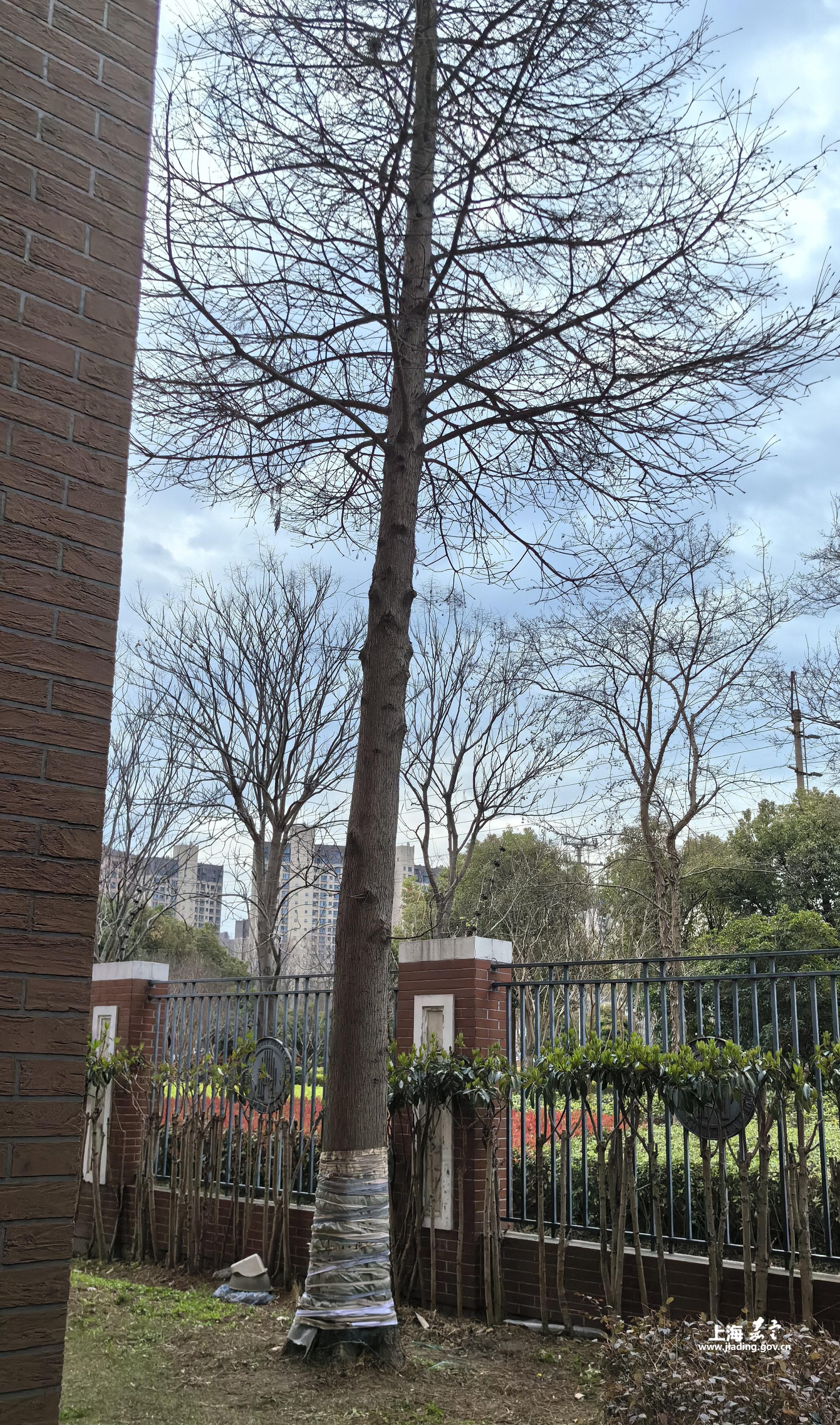 1ee04920f2a8470db76b8422156cb7bf.jpg 1ee04920f2a8470db76b8422156cb7bf.jpg