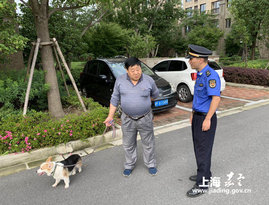 2174c72afd8c4203b837c1e7a0967e8a.png 2174c72afd8c4203b837c1e7a0967e8a.png