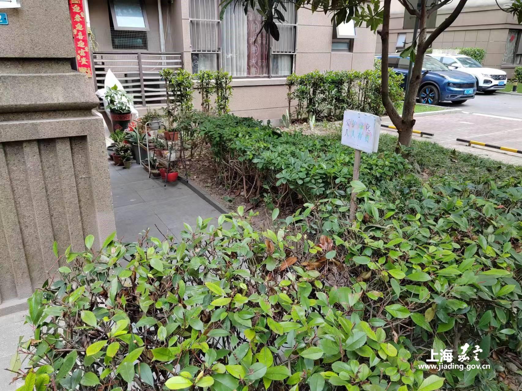 2b8c61d5174b4a98a763ef2cff8e8772.jpg 2b8c61d5174b4a98a763ef2cff8e8772.jpg