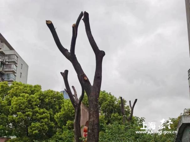 34d3253af59e479c8ed8dd305d446c50.Jpeg 34d3253af59e479c8ed8dd305d446c50.Jpeg