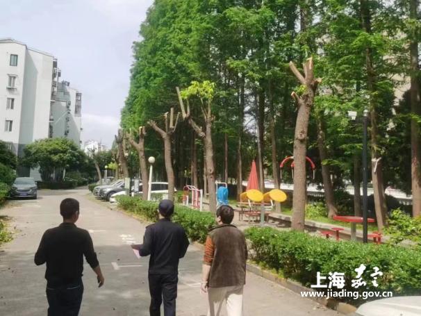 365c3766d******09823ee5e71505545e.Jpeg 365c3766d******09823ee5e71505545e.Jpeg