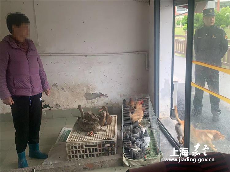 4dc2637abbaa4f03a09e9d26cebb3c26.jpg 4dc2637abbaa4f03a09e9d26cebb3c26.jpg