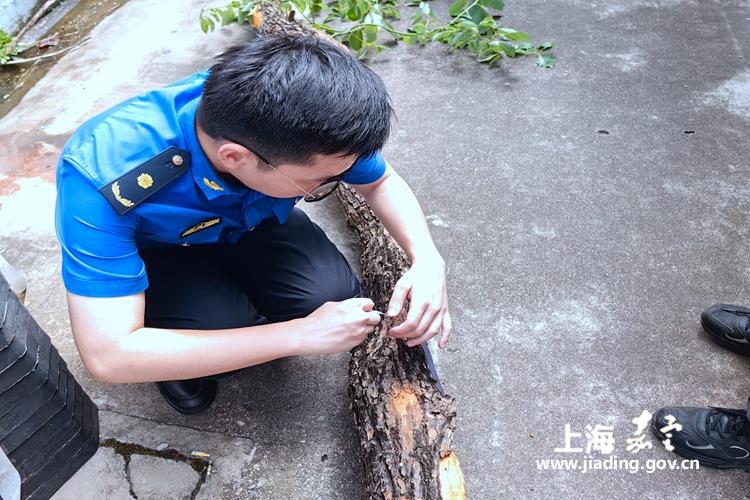 528f7f9a67624f688d76a1ea06fe7c05.jpg 528f7f9a67624f688d76a1ea06fe7c05.jpg