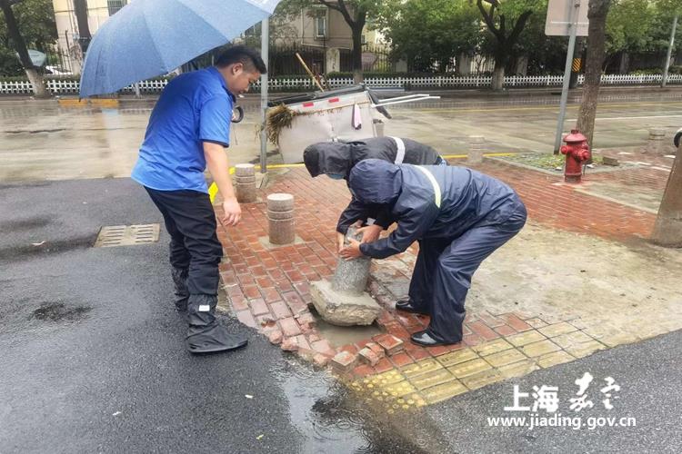 53a6d17e4a9944cf9721d2a7f25dbc29.jpg 53a6d17e4a9944cf9721d2a7f25dbc29.jpg