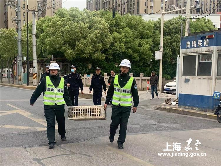 54e8fcb73da3407b92b8069f732774d9.jpg 54e8fcb73da3407b92b8069f732774d9.jpg