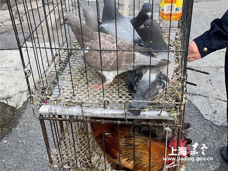 655f2a184e6441cb931b858a02c24d15.jpg 655f2a184e6441cb931b858a02c24d15.jpg