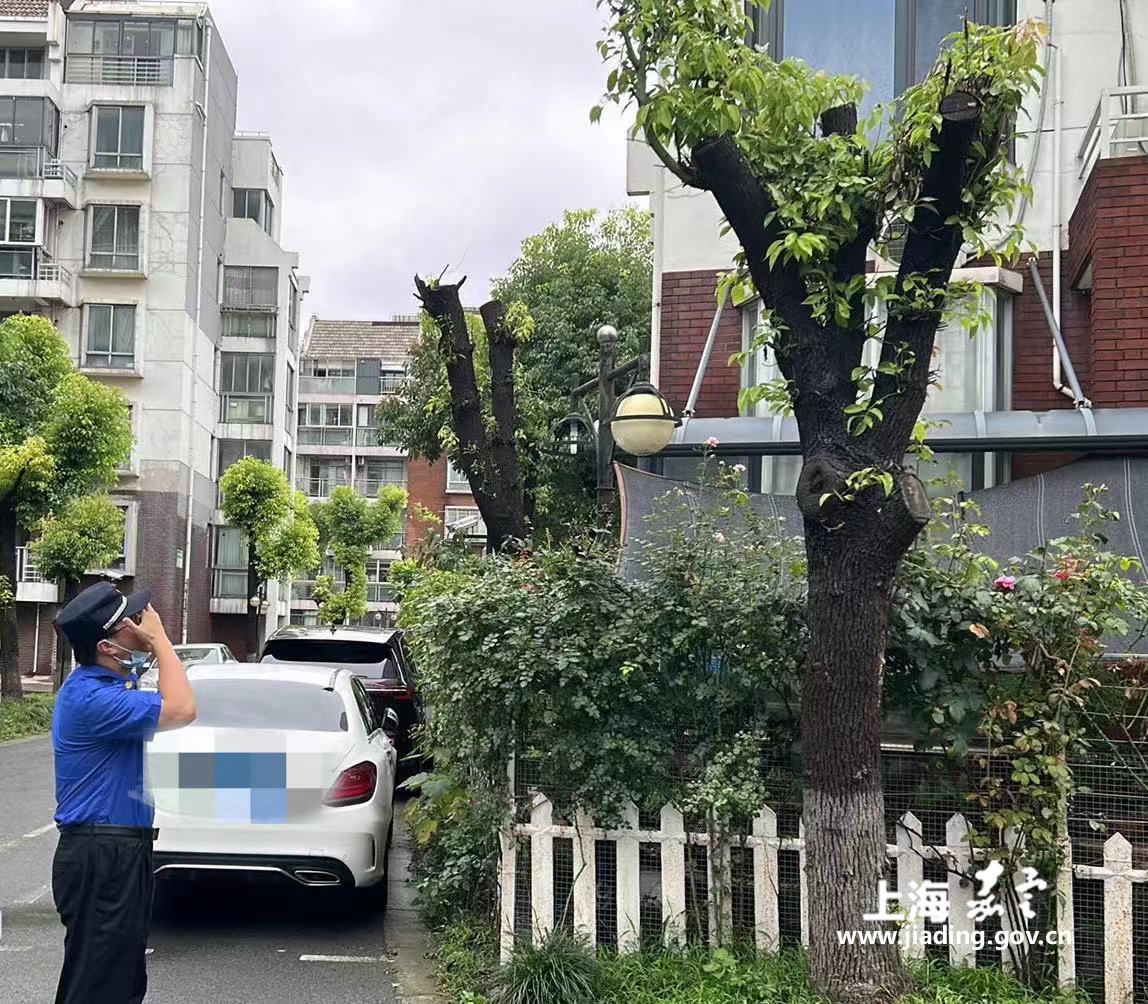 72313db20dc54d8c9ebca7dc0ab621d4.jpg 72313db20dc54d8c9ebca7dc0ab621d4.jpg