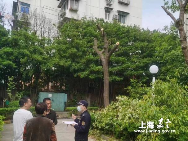 99aa1706457f4004bce0d558df0abaf8.Jpeg 99aa1706457f4004bce0d558df0abaf8.Jpeg