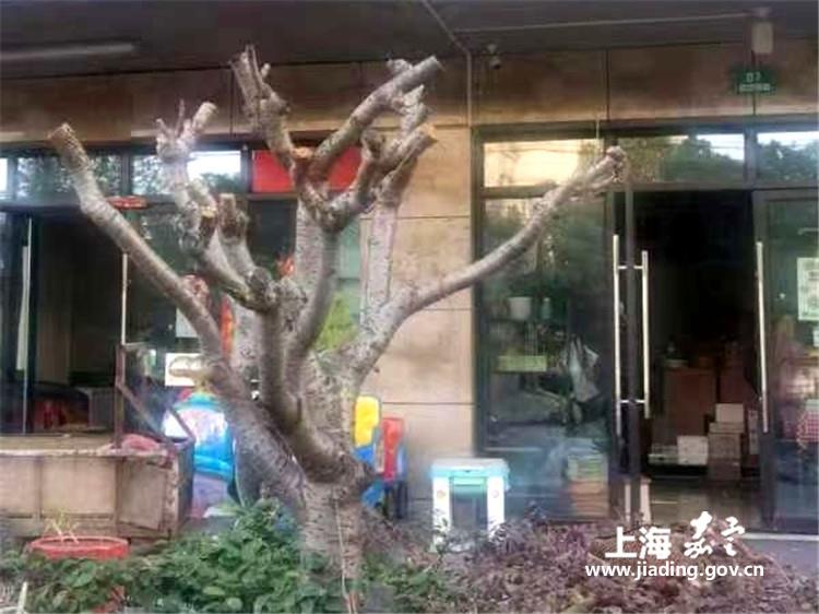 a326551bd5f349419ba1c5734060d143.jpg a326551bd5f349419ba1c5734060d143.jpg