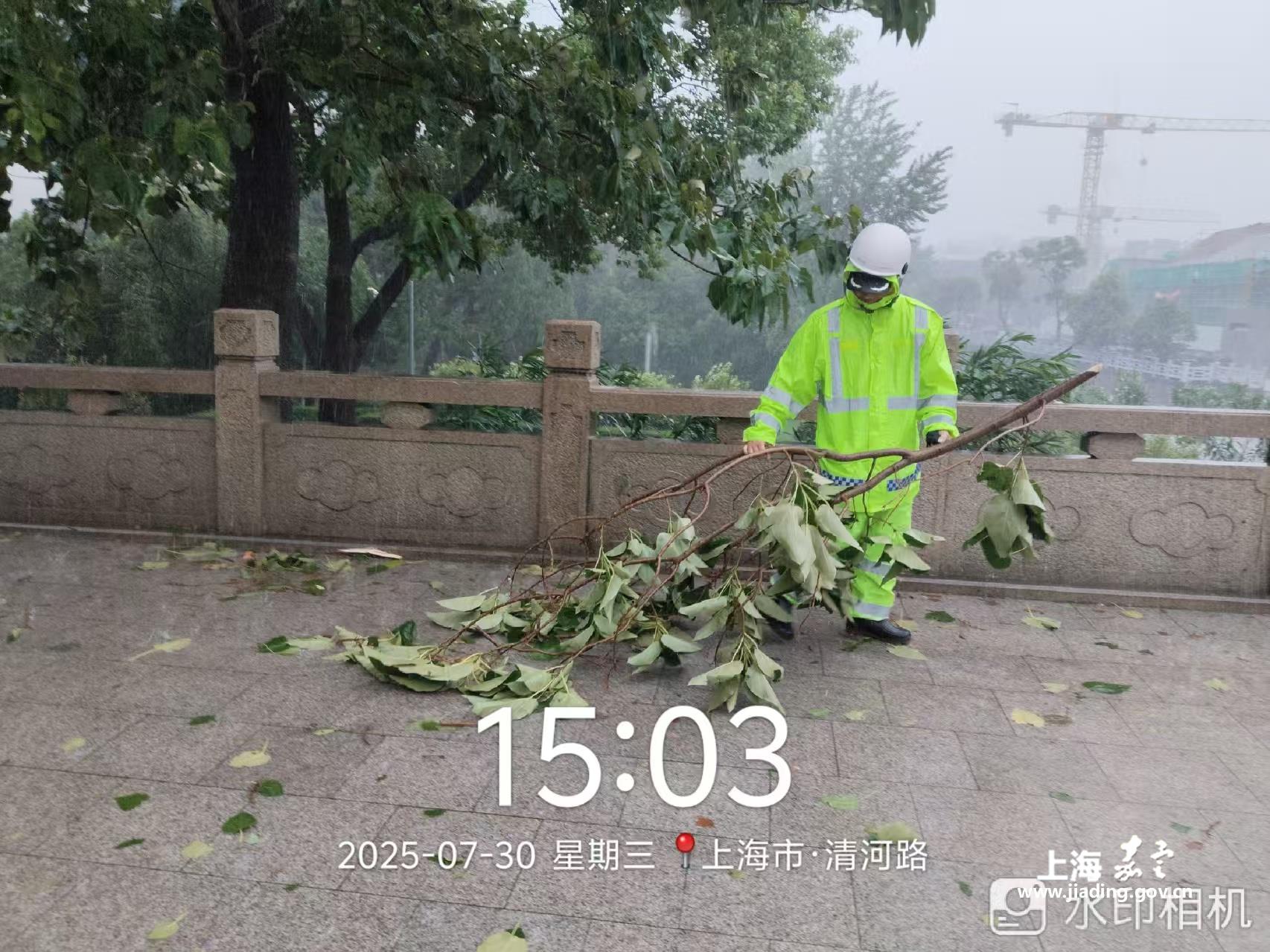 b283d4dea82e43ec87dc2624d0e9faba.jpg
