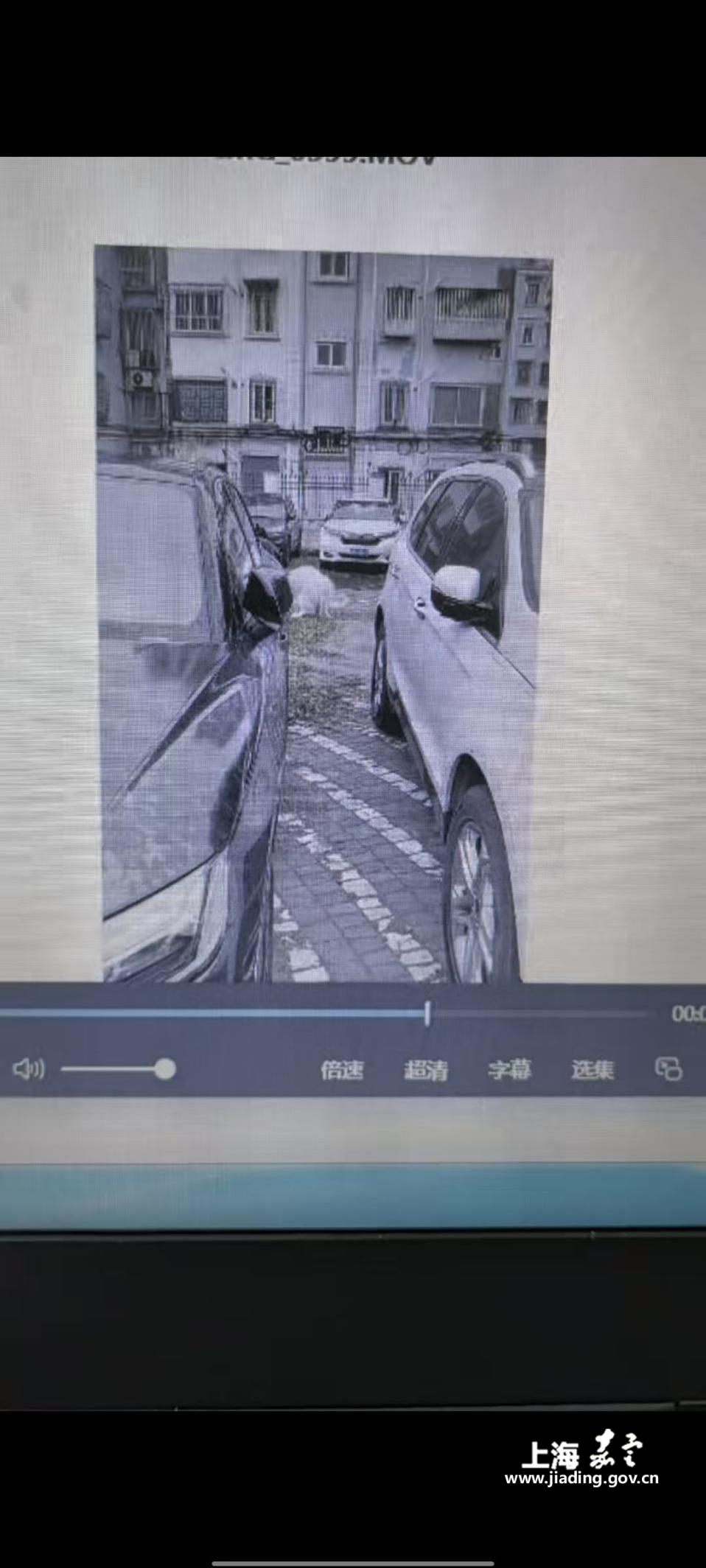 bd0f47e712cb49ddb4bdf2e0faa9d7c0.Jpeg bd0f47e712cb49ddb4bdf2e0faa9d7c0.Jpeg