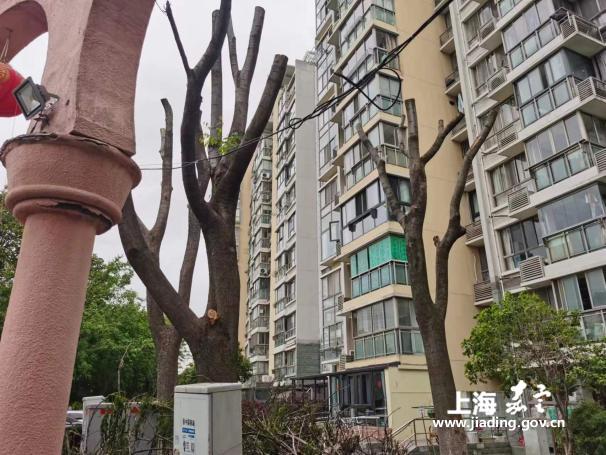 c262c881da2b4c0a8f674f038892f1d0.Jpeg c262c881da2b4c0a8f674f038892f1d0.Jpeg