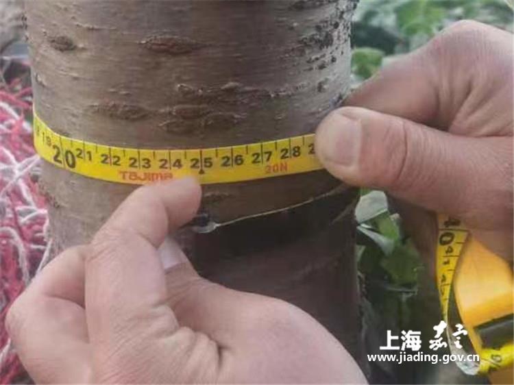 cd4e1280d7b94f1592009b0928dfc544.jpg cd4e1280d7b94f1592009b0928dfc544.jpg