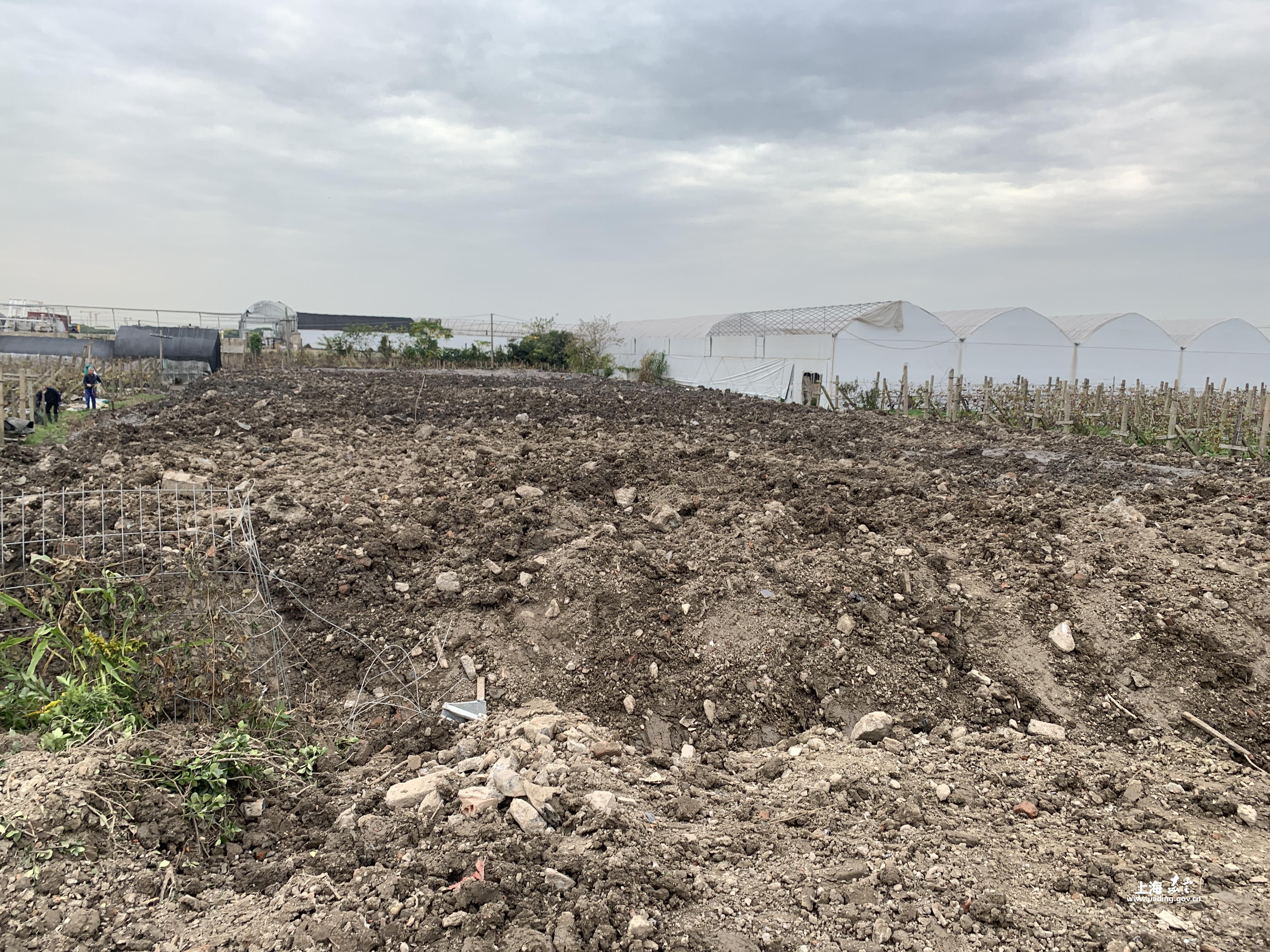 ce81362cfca341c89195024b4c16eac0.jpg ce81362cfca341c89195024b4c16eac0.jpg