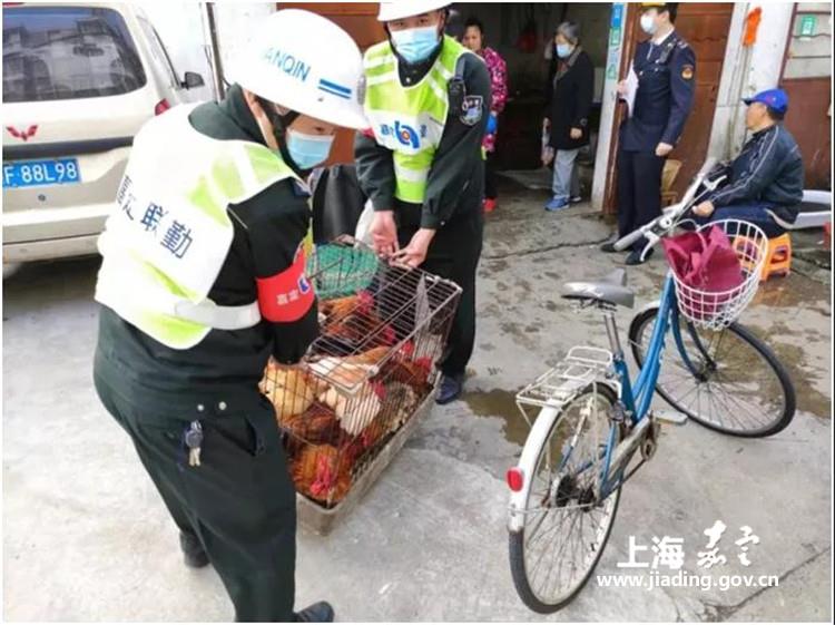 e97571dc91994b90a6dca2a94ba9fddb.jpg e97571dc91994b90a6dca2a94ba9fddb.jpg