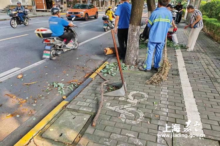 fc412acd955b41538a3c2cac36875276.jpg fc412acd955b41538a3c2cac36875276.jpg